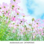 如何选择适合自己的ag真人平台进行游戏体验 eiv72oh3lc