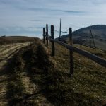 如何顺利完成一号娱乐平台登录,获取最佳游戏体验 enk1nt8