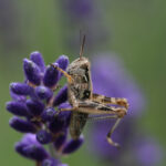 19065期足彩开奖结果揭晓,大奖花落谁家? 13hh6rziyo