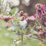 191020期双色球开奖结果公布:最新中奖号码与奖金分配详情 37q4s