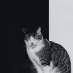 19132期足彩开奖结果揭晓,大奖花落谁家引关注 5gry2gwlao