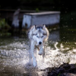 19088期足彩开奖结果公布:最新中奖号码与奖金详情 7773fu2kn