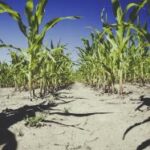 19080期开奖结果最新公布,快来看看你中奖了吗? dbub7