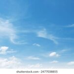 3D开奖2025335期最新结果公布,中奖号码揭晓 g32o857cgz