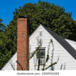 19129期双色球开奖结果公布:最新大奖号码已揭晓 odya4t1e