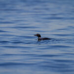 19107期开奖结果揭晓:幸运号码震撼公布 rghb129