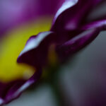 19061期开奖结果公布,幸运号码震撼揭晓 s1e8dp